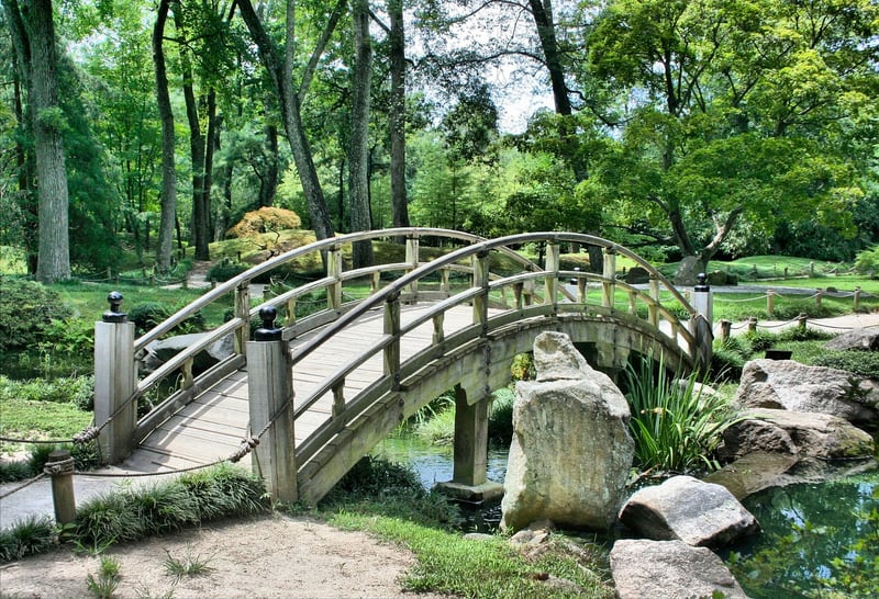 Magical Garden